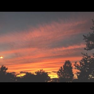 Meet your Posher, Kara